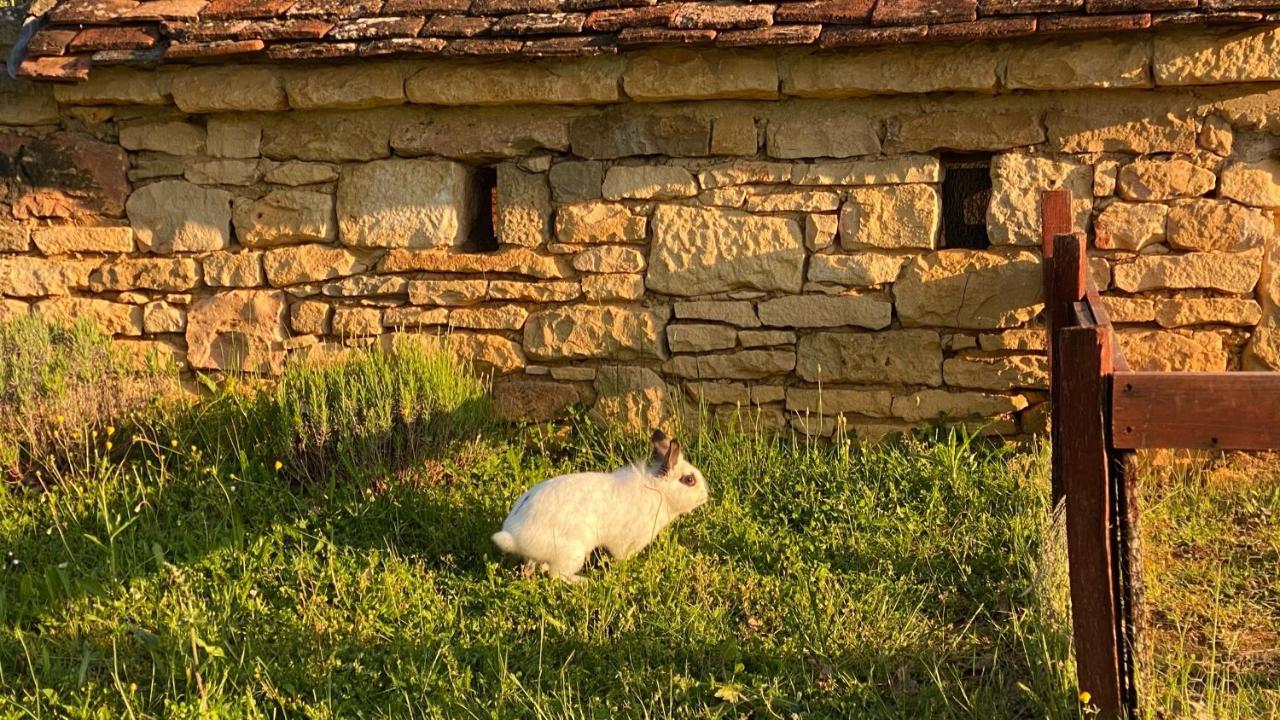 Eco-Hameau Du Sentier Des Sources Villa Сарла-ла-Канеда Екстериор снимка