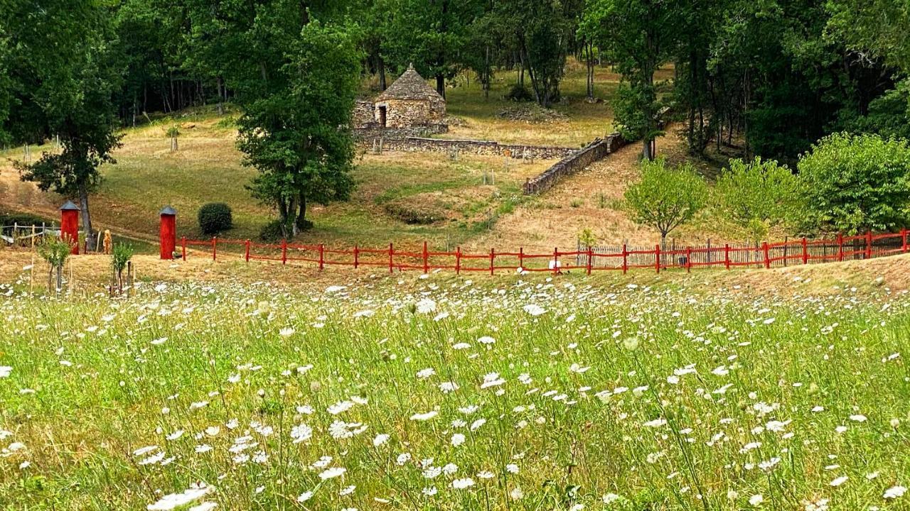 Eco-Hameau Du Sentier Des Sources Villa Сарла-ла-Канеда Екстериор снимка