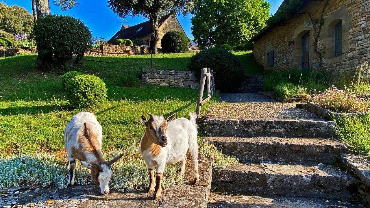 Eco-Hameau Du Sentier Des Sources Villa Сарла-ла-Канеда Екстериор снимка